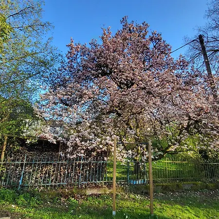 Bergischer Hof - Bergischer Hofgarten 3*