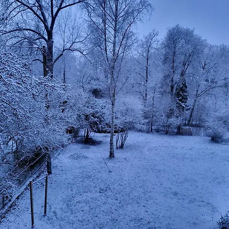 Bergischer Hof - Bergischer Hofgarten Guest house