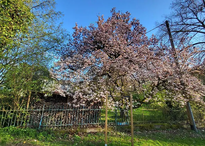 Bergischer Hof - Bergischer Hofgarten 3*