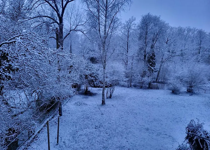 Bergischer Hof - Bergischer Hofgarten Pensjonat